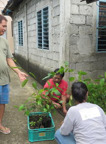 Native seedlings given to training participants who presented farm plans.