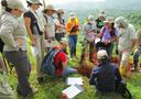 Ecosystem Services and Tropical Forest Restoration Aug 2013