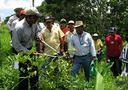 Workshop on Native Species Reforestation, and Agroforestry and Silvopastoral Systems