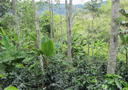 Agroecology Course Image - Colombia
