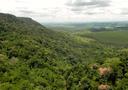 Atlantic Forest natural regrowth on slope and Eucalyptus below Sao Paulo State