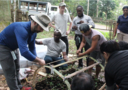 Participants creating a seedling recovery chamber during the January 2020 field course, Philippines.