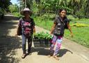 Community members transporting seedlings for planting