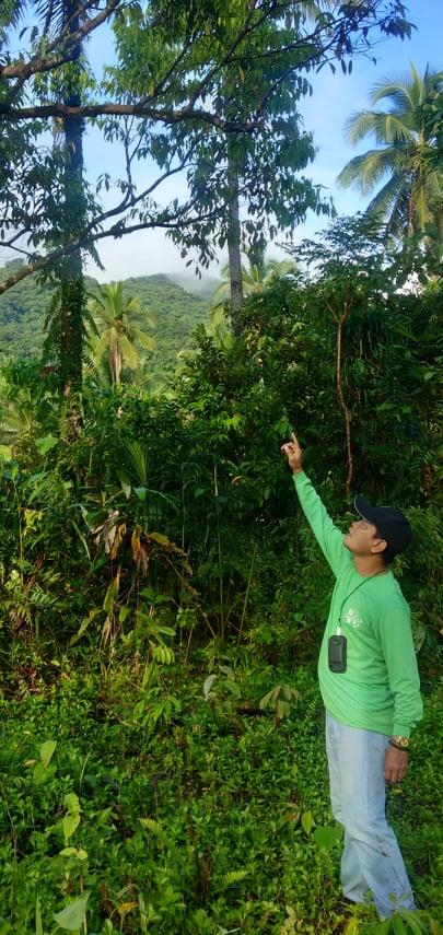 Vicente Escasinas geo-tagging native trees at Mt. Nacolod, Southern Leyte.