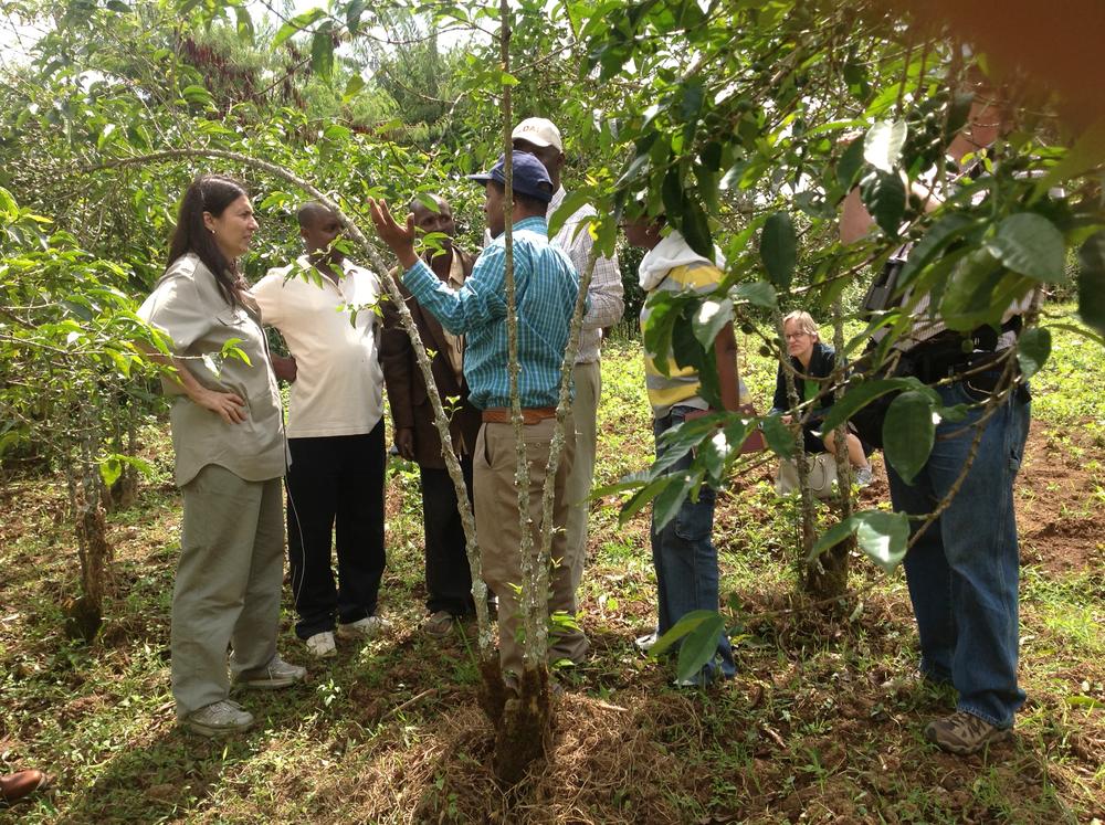 Paola Agostini discussing the benefits of shade grown coffee in Burundi.