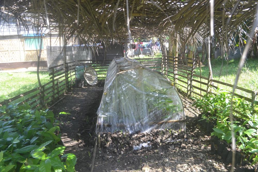 Nursery at Romeo Gutang's Rainforestation demonstration site in the Philippines