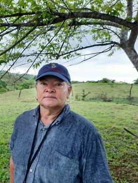 Woman in blue shirt and hat standing in front of field of grass. A tree with green leaves is above her head.