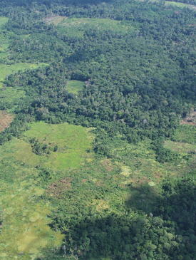 The mosaic of land uses in Ucayali (Peruvian Amazon).