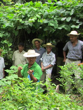 APASPE member sharing his experiences with course participants in his farm