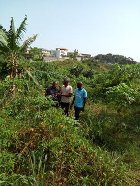 Visit to a plot of the classified forest of Anguédédou located in the Abidjan district.