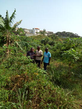 Visit to a plot of the classified forest of Anguédédou located in the Abidjan district. Visit to a plot of the classified forest of Anguédédou located in the Abidjan district.