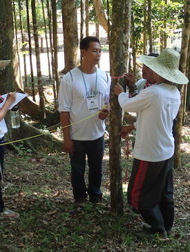 Four people measuring a tree. They are wearing long pants and white long-sleeve shirts. Three people clustered around a thin tall tree with a pink measuring tape around it. The fourth person is writing on a clipboard. One of the people around the tree is holding a yellow measuring tape connecting to something out of the image.