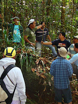 Rainforestation Trainer's Training - Dec