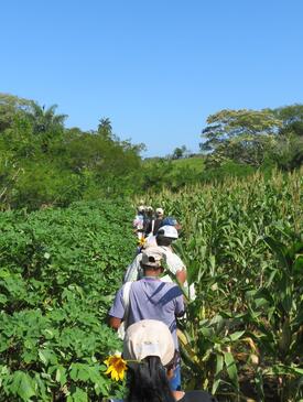 Participants of a field course in Panama visiting a locally owned farm where a range of restoration strategies have been conducted. 