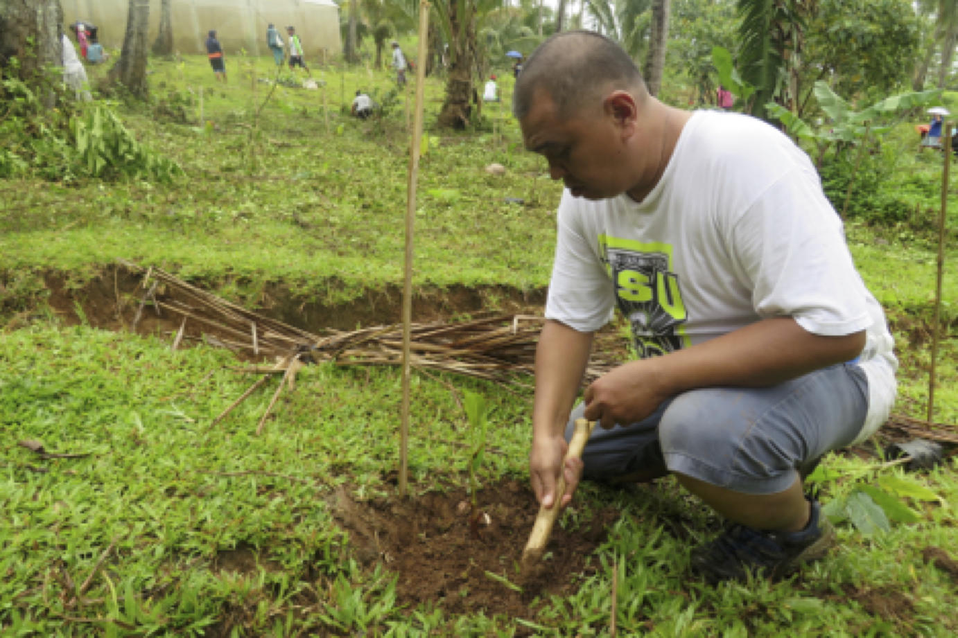 Kambonggan Rainforestation Demonstration Farm